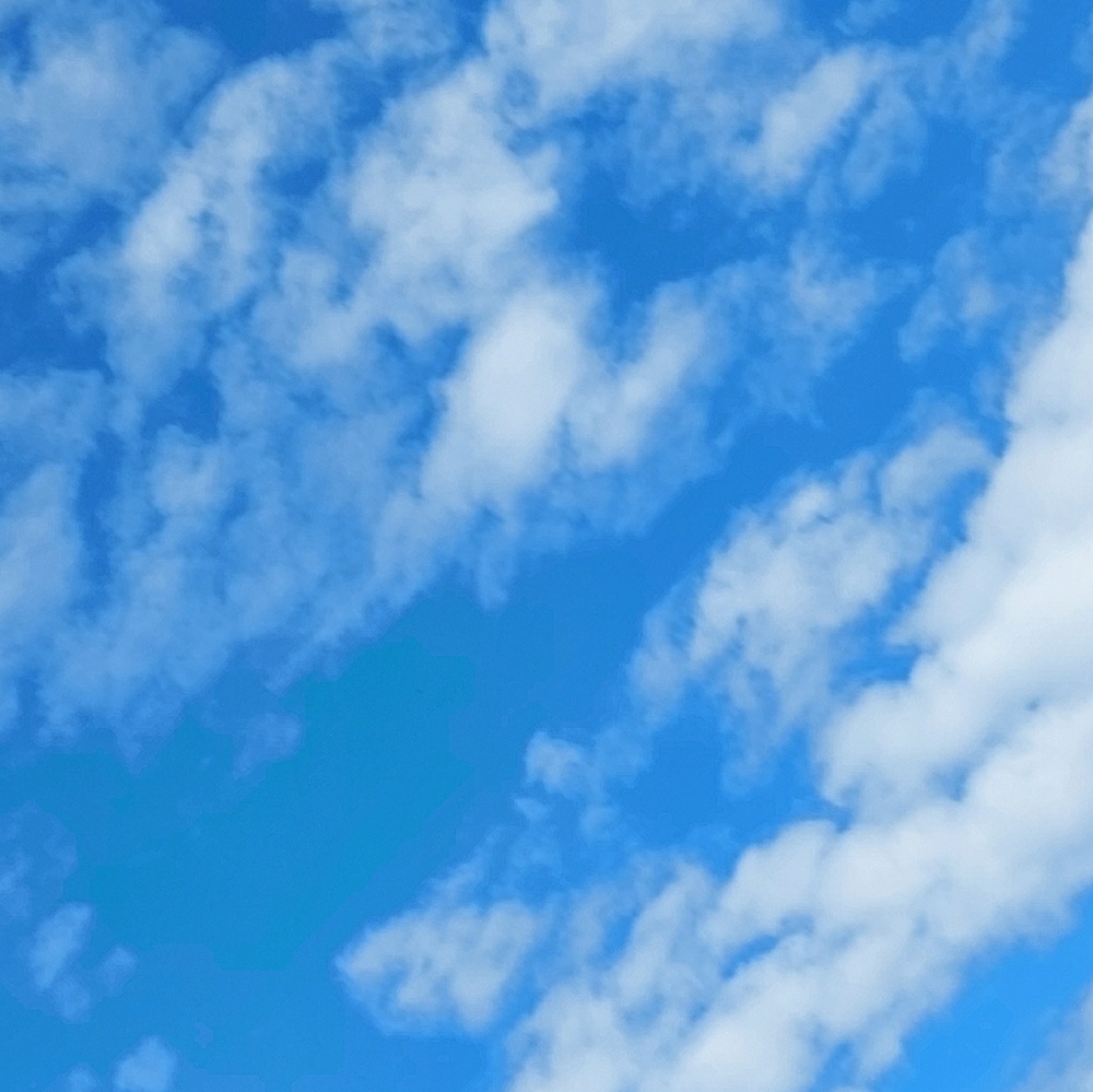 Meet your Posher, Mj